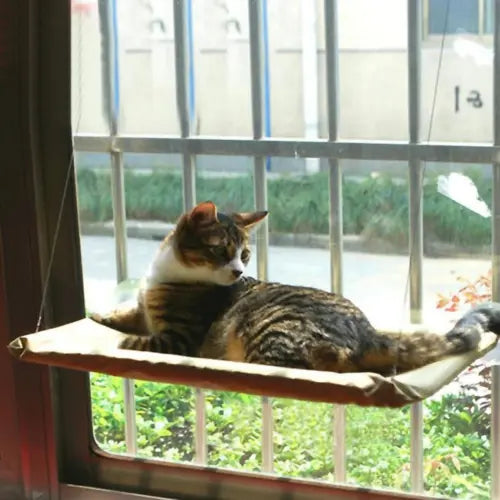 Cat Window Bed One Stop Shop
